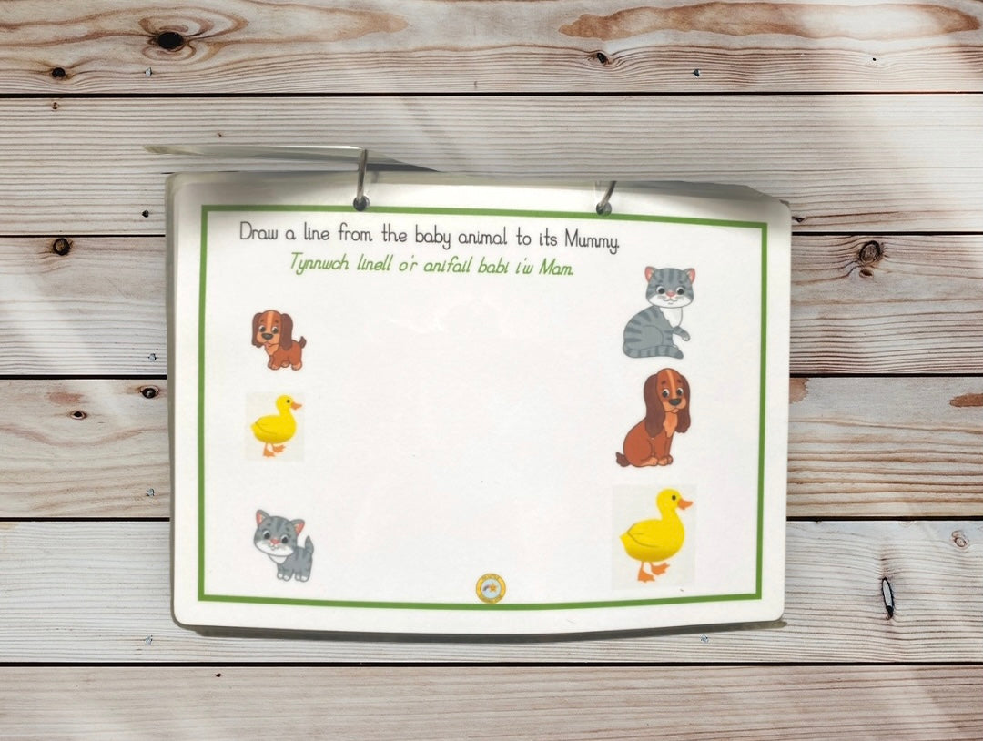 Welsh version - Toddler Learning Book