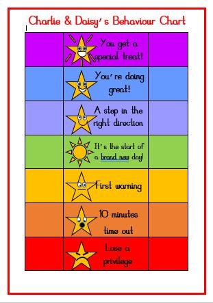 Behaviour chart (single or double)